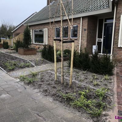 Tuinrenovatie